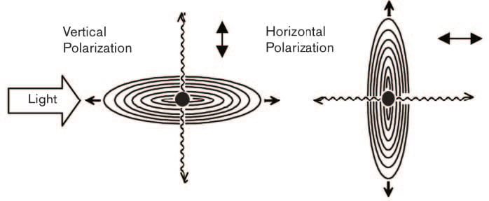 Scattering from Different Polarizations