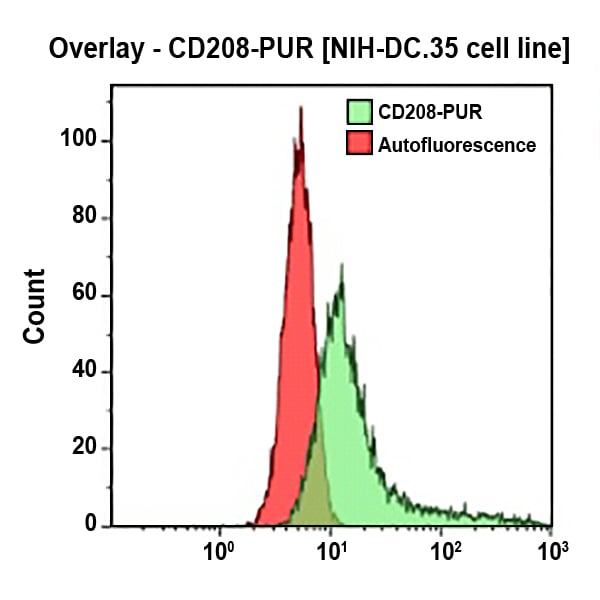 IM3448_CD208-UNLB, 104.G4, 0.2 mg, RUO
