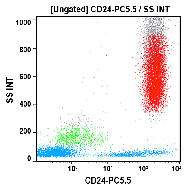 B23133_CD24-PC5.5, ALB9, 0.5 mL, ASR