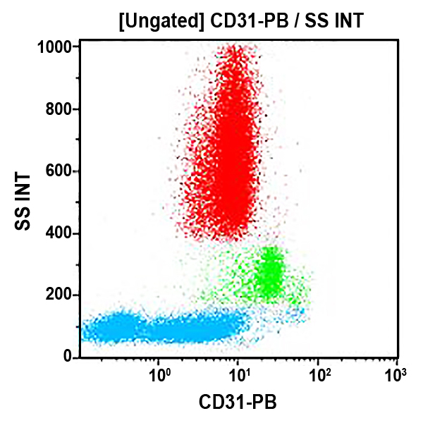 B13035_CD31-PB, 5.6E, 0.5 mL, ASR