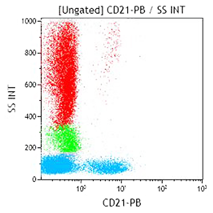 B09982_CD21-PB, BL13, 0.5 mL, ASR