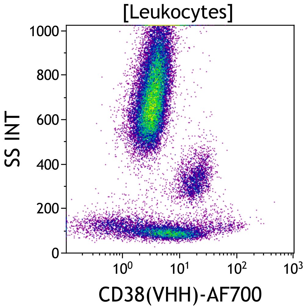 C94643, CD38(VHH)-AF700 Conjugated antibody, JK36, 50 tests, RUO