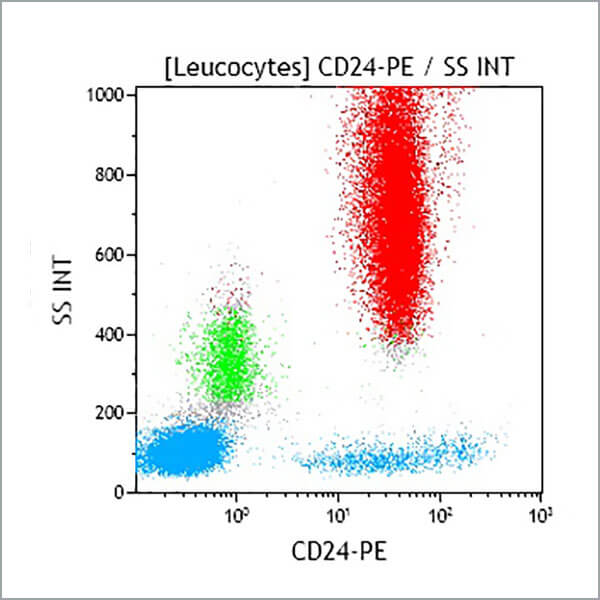 IM1428U_CD24-PE, ALB9, 2 mL, ASR
