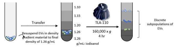Equilibrium zonal density gradient ultracentrifugation